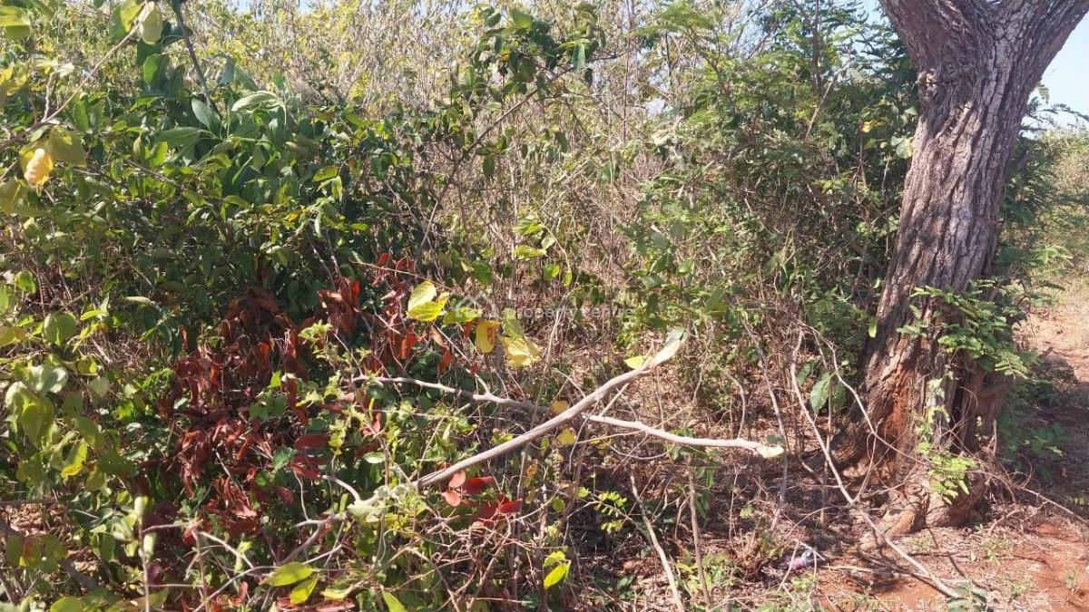 Prime Residential Plot   Near Mtondia-- Bofa, Kilifi, Near Mtondia– Bofa, Kilifi, Mtwapa, Kilifi, Land for Sale