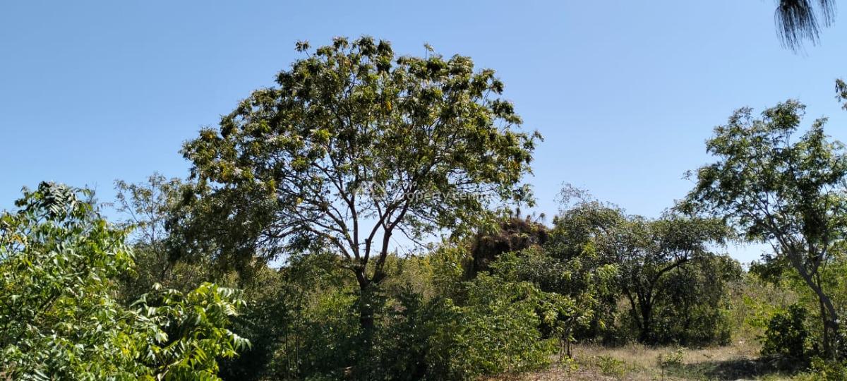 Premium 13-acres Land, Jacaranda, Watamu, Kilifi, Commercial Land for Rent