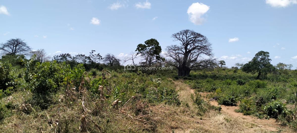 Premium 13-acres Land, Jacaranda, Watamu, Kilifi, Commercial Land for Rent
