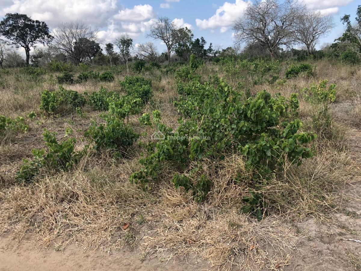 Affordable Farm Lands, Malindi, Malindi Town, Kilifi, Mixed-use Land for Sale