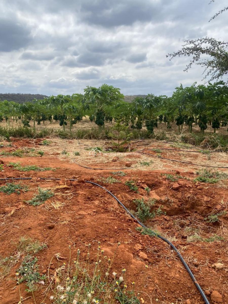 Perfect Fertile Farm Land Touching The River, Mbeere North, Embu, Mbeti North, Embu, Land for Sale
