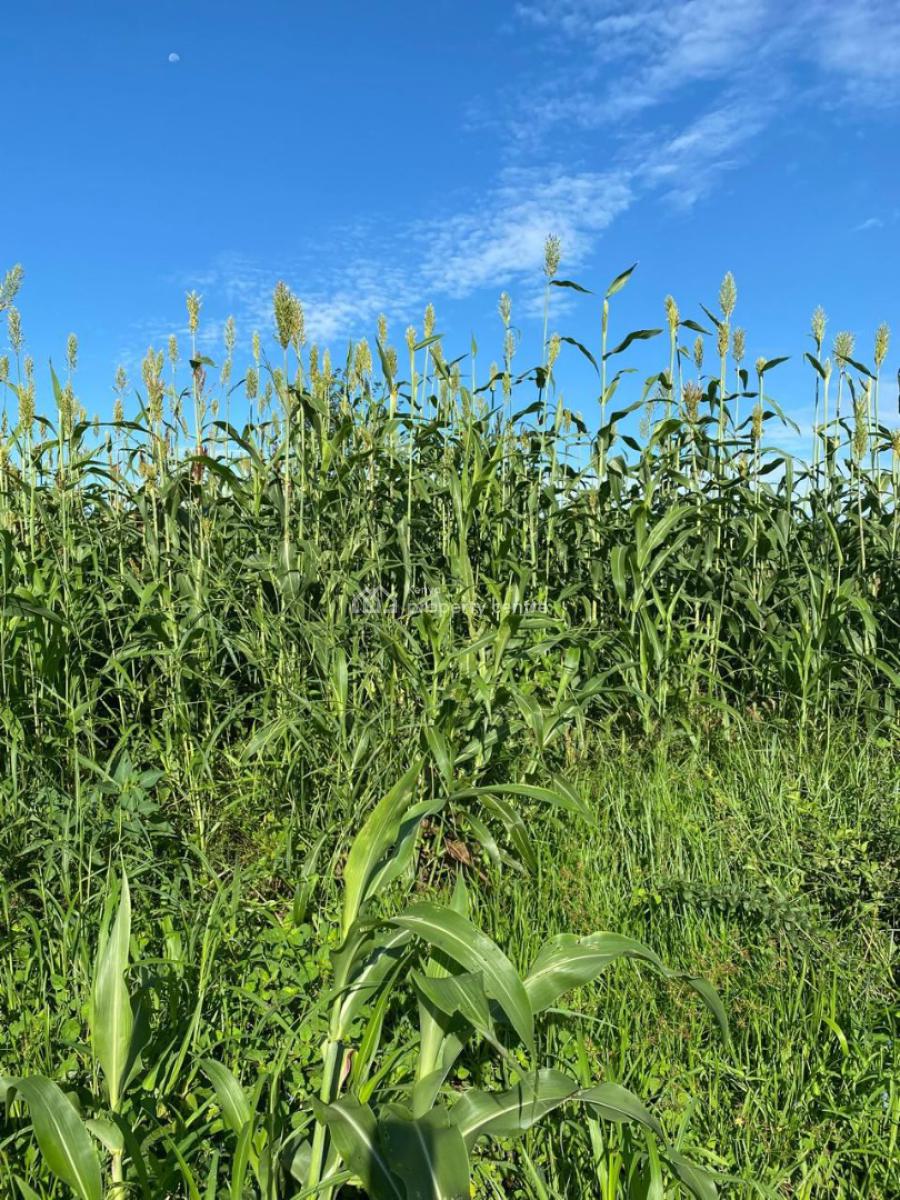 Perfect Fertile Farm Land Touching The River, Mbeere North, Embu, Mbeti North, Embu, Land for Sale