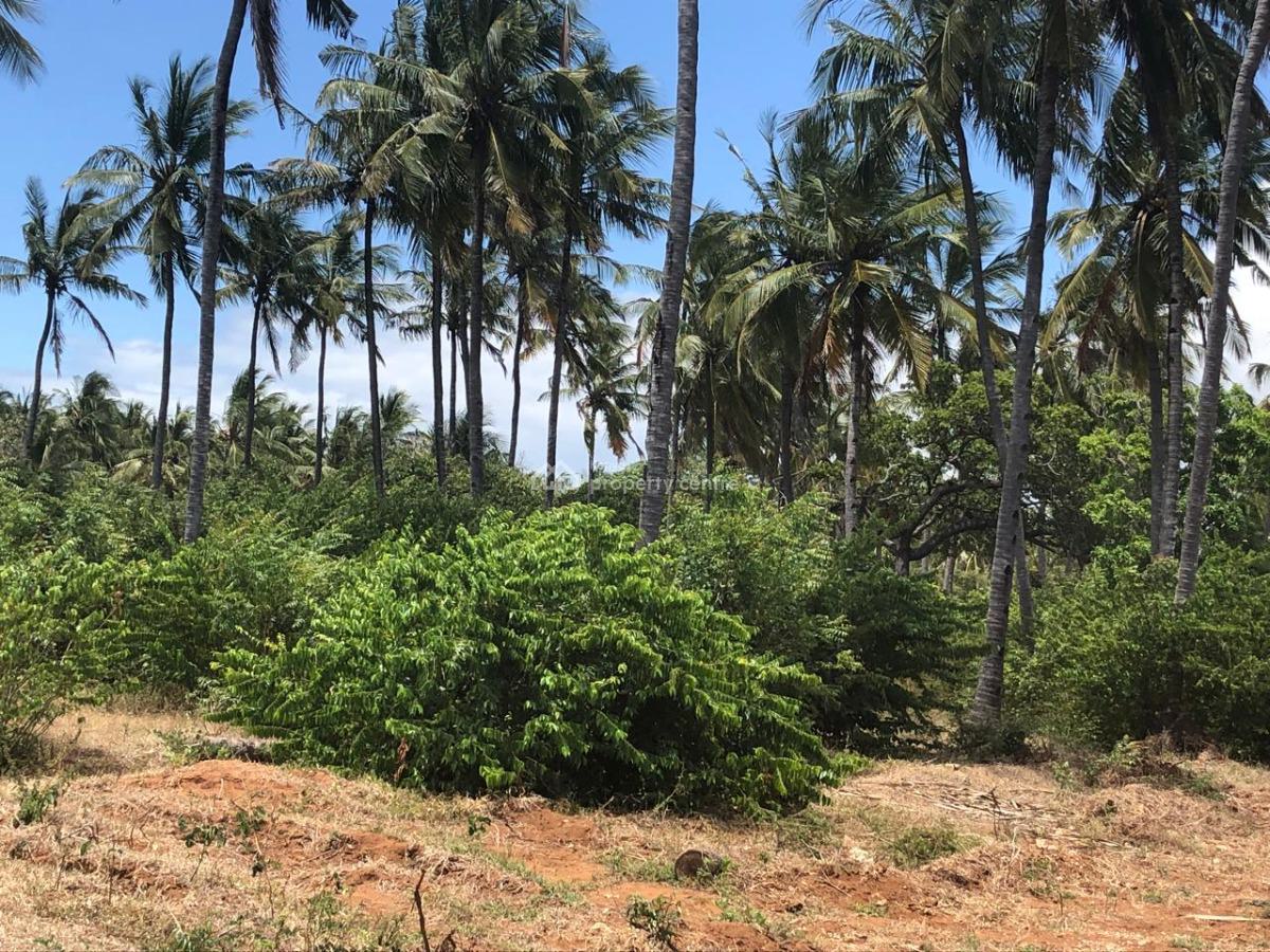 Prime 7.5 Acres in a Developed Area., Jacaranda Beach Watamu, Watamu, Kilifi, Mixed-use Land for Sale