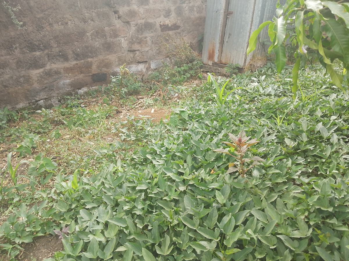 Quarter Plot, Mandera Road, Ongata Rongai, Kajiado, Mixed-use Land for Sale