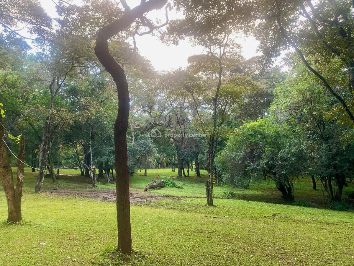 1 Bedroom Furnished, Hardy Area, Karen, Nairobi, Detached Bungalow for Rent