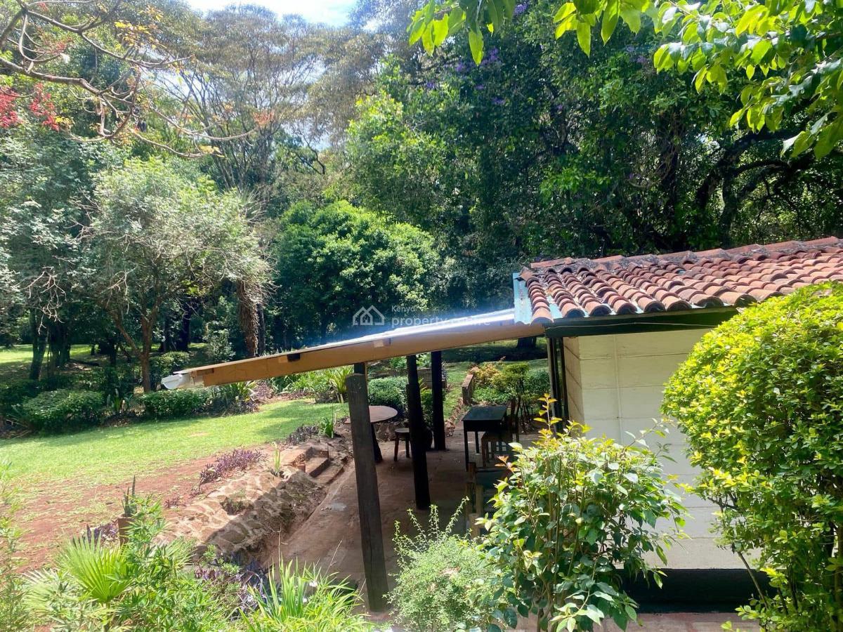 1 Bedroom Furnished, Hardy Area, Karen, Nairobi, Detached Bungalow for Rent