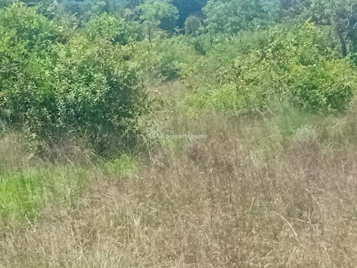 Land, Loldaiga Conservancy, Nanyuki, Laikipia, Mixed-use Land for Sale