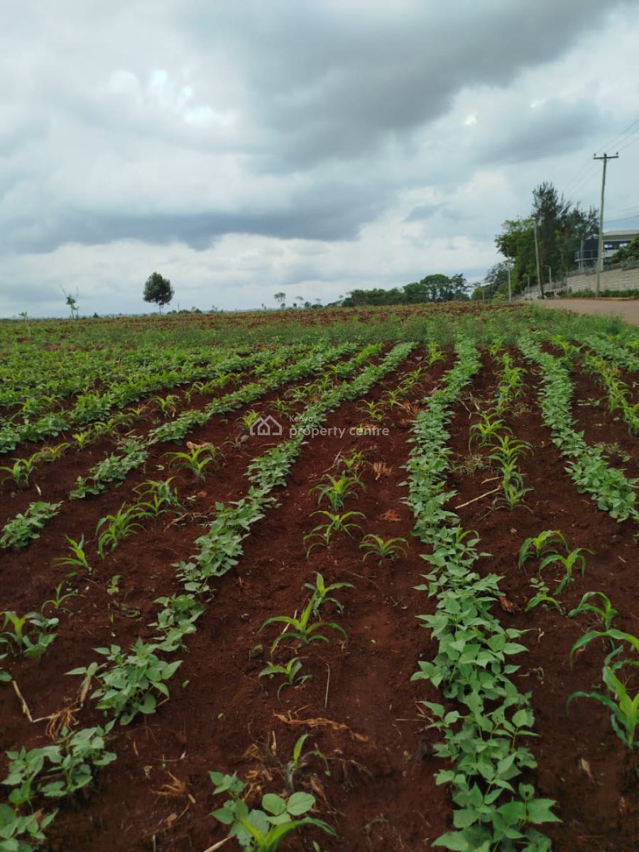 Prime 10-acre Flat Land, Kirawa Road, Kitisuru, Nairobi, Land for Sale