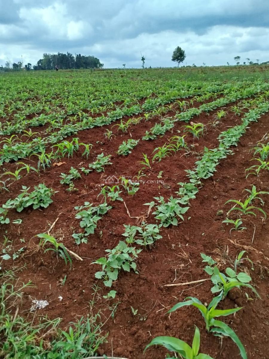 Prime 10-acre Flat Land, Kirawa Road, Kitisuru, Nairobi, Land for Sale