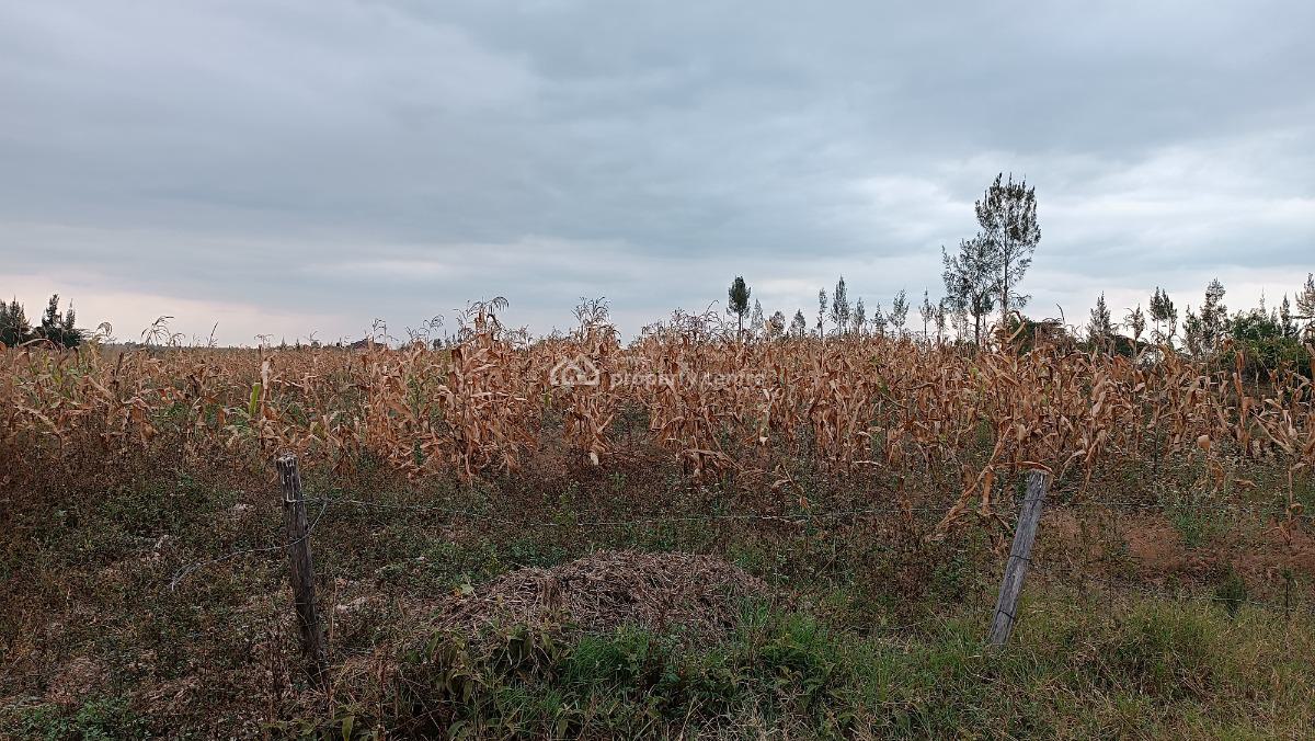 Plot, Koma, Kangundo Central, Machakos, Land for Sale