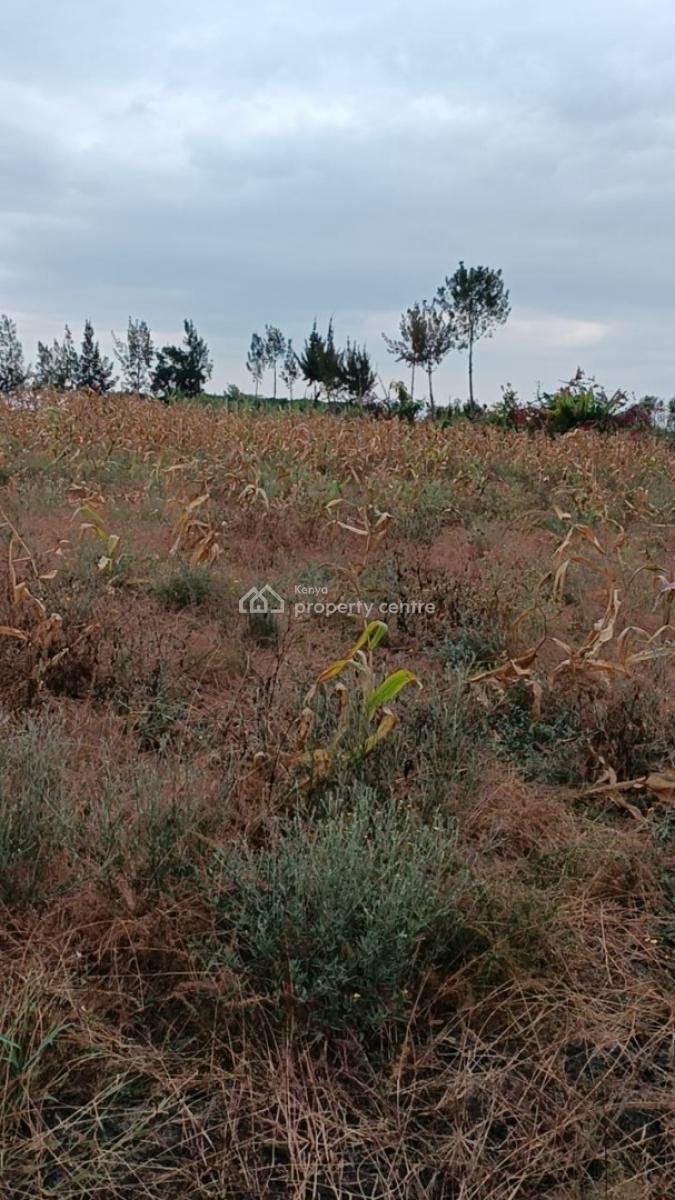 Plot, Koma, Kangundo Central, Machakos, Land for Sale