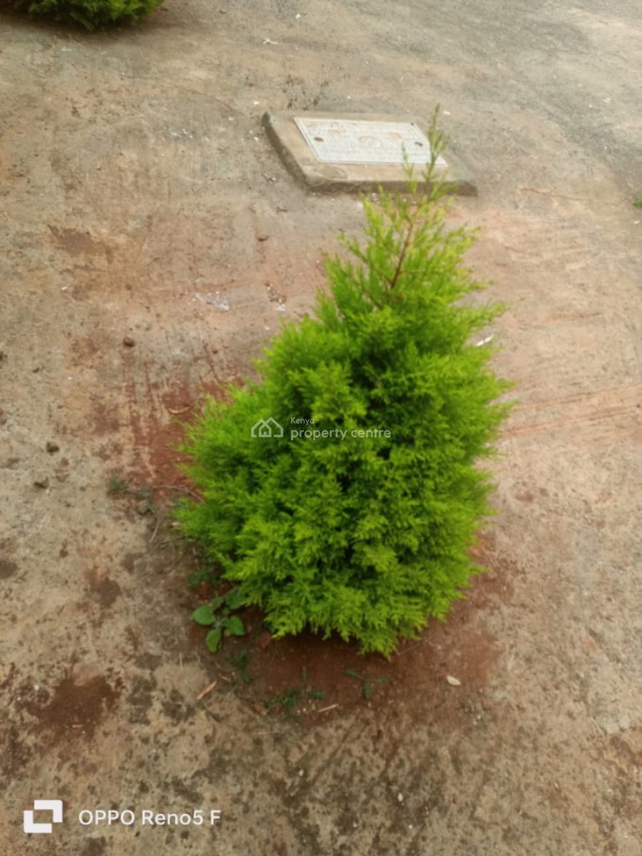 Spacious 4 Bedrooms Home with Private Compound, Kikuyu, Kamangu, Kikuyu, Kiambu, House for Rent