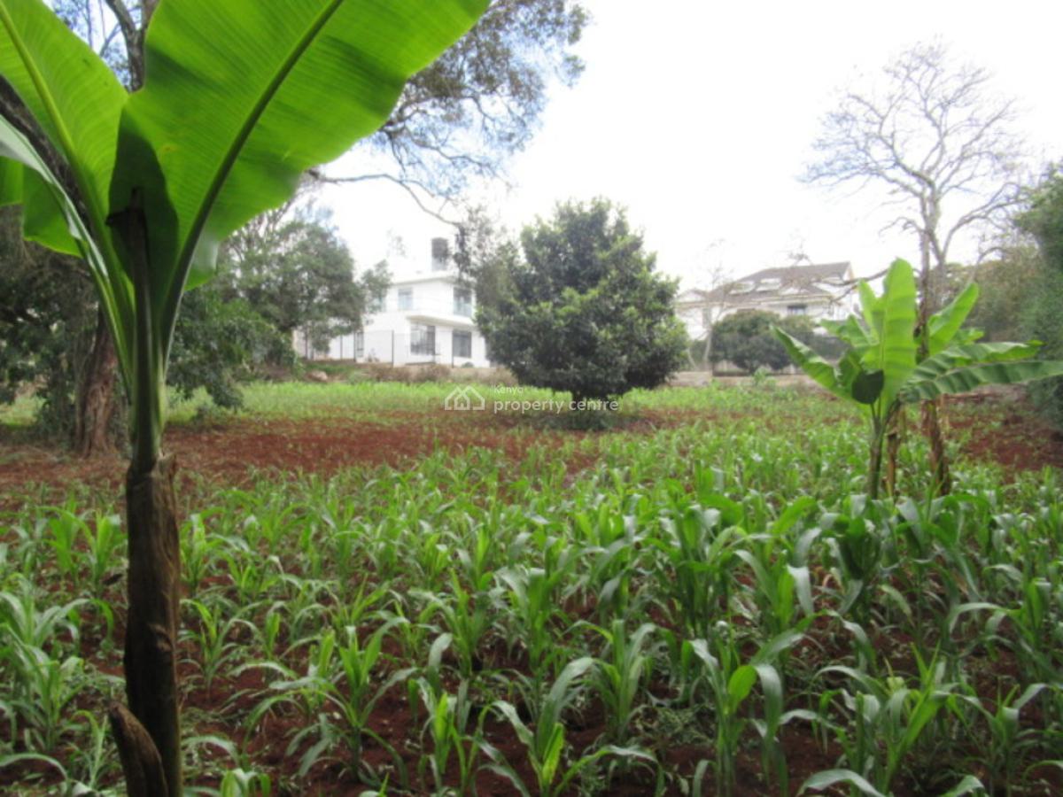 0.5-acre Plot for Development, Hardy, Karen, Nairobi, Residential Land for Sale