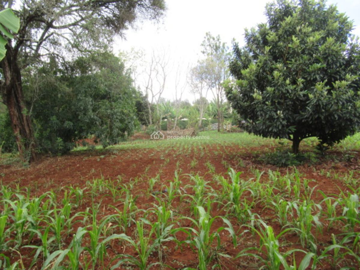 0.5-acre Plot for Development, Hardy, Karen, Nairobi, Residential Land for Sale