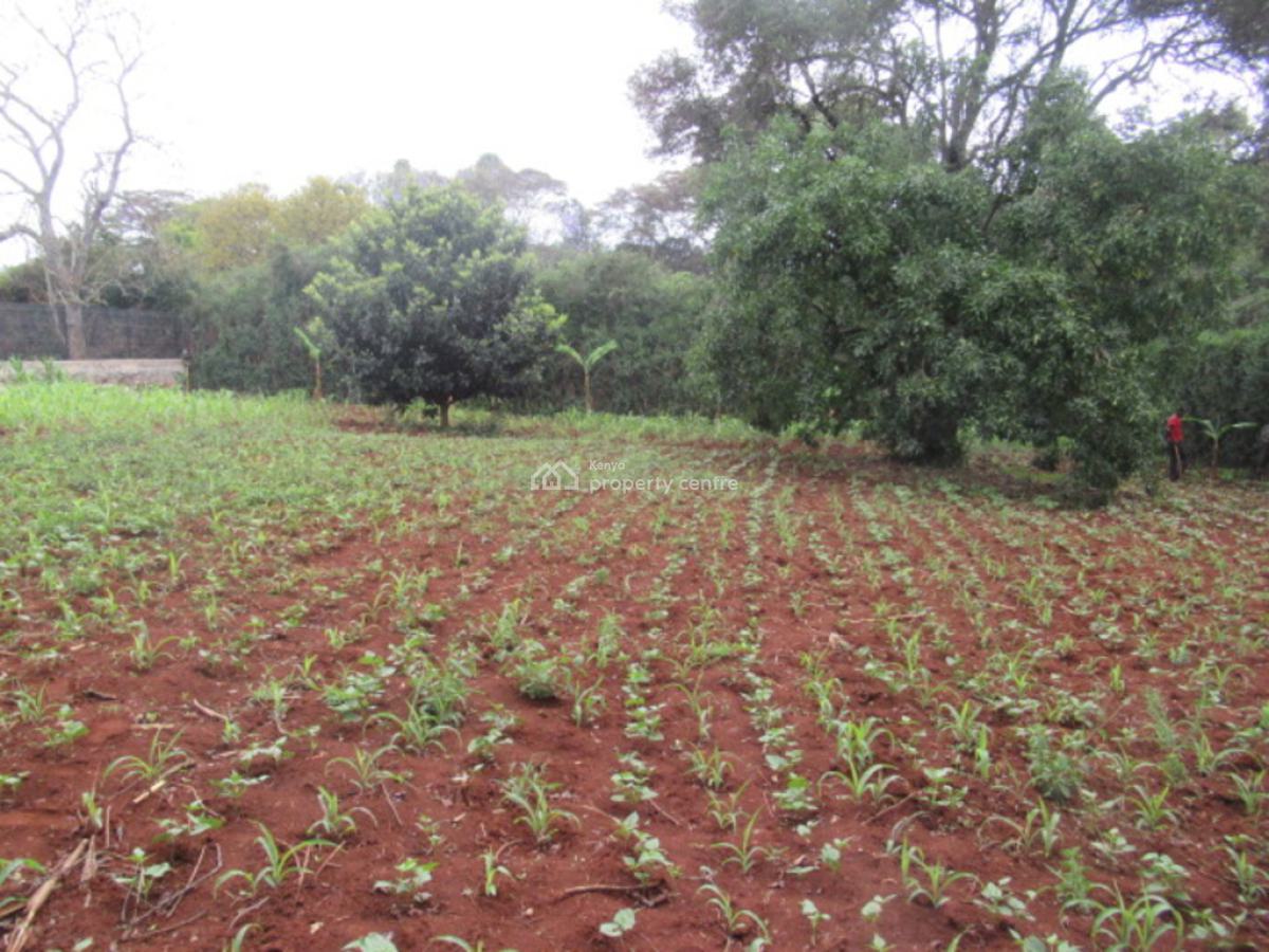 0.5-acre Plot for Development, Hardy, Karen, Nairobi, Residential Land for Sale