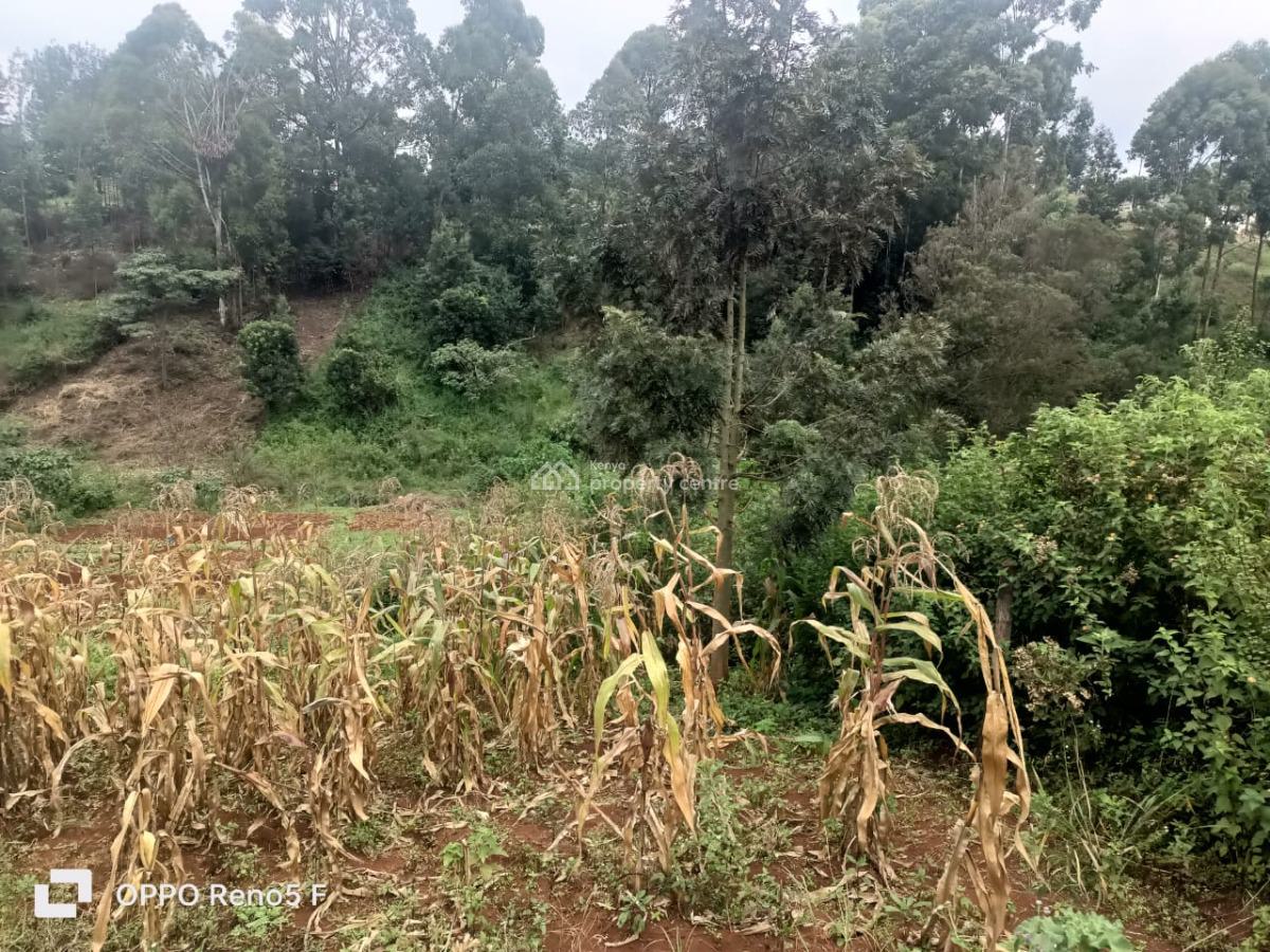 Plot in Kiambu, Lower Kabete, Kikuyu, Kiambu, Land for Sale