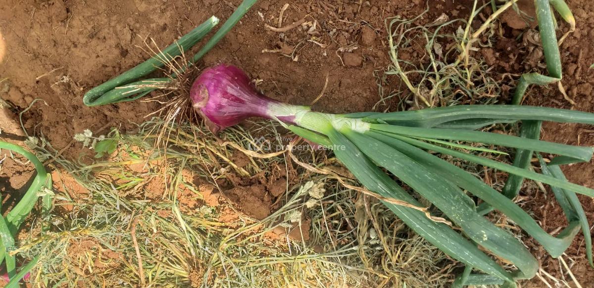 5 Acre Farm, Maritati, Timau, Meru, Land for Sale