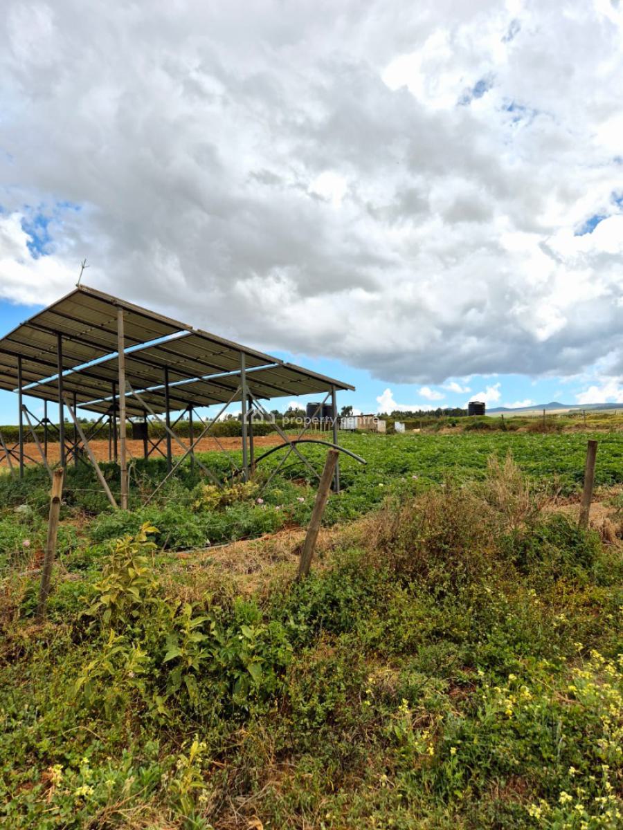 5 Acre Farm, Maritati, Timau, Meru, Land for Sale
