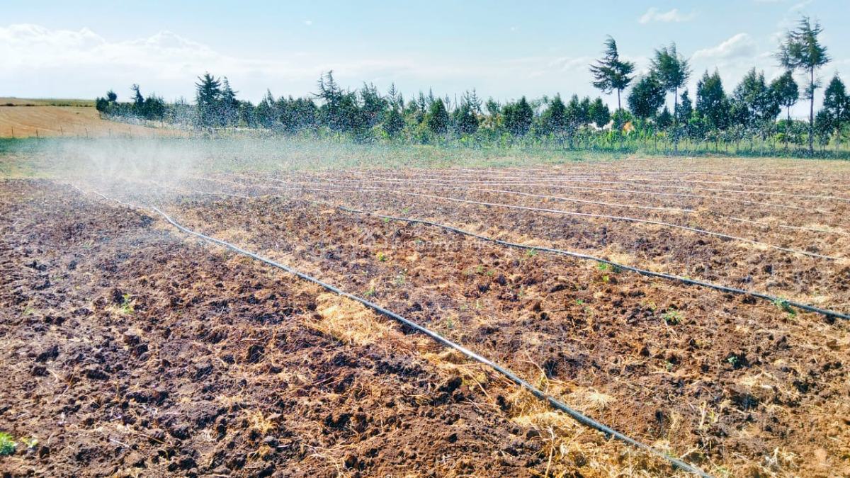 5 Acres Farm, Maritati, Timau, Meru, Land for Sale