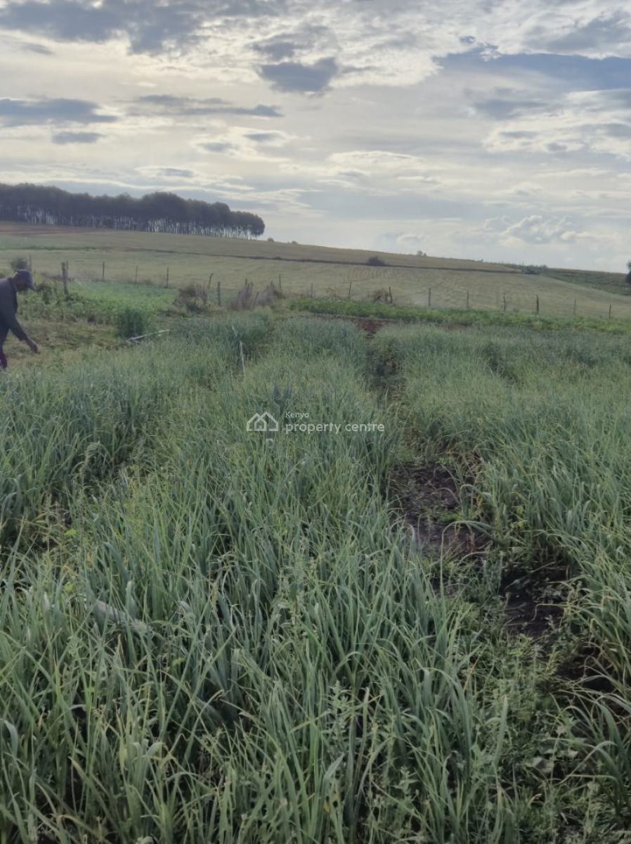 5 Acres Farm, Maritati, Timau, Meru, Land for Sale