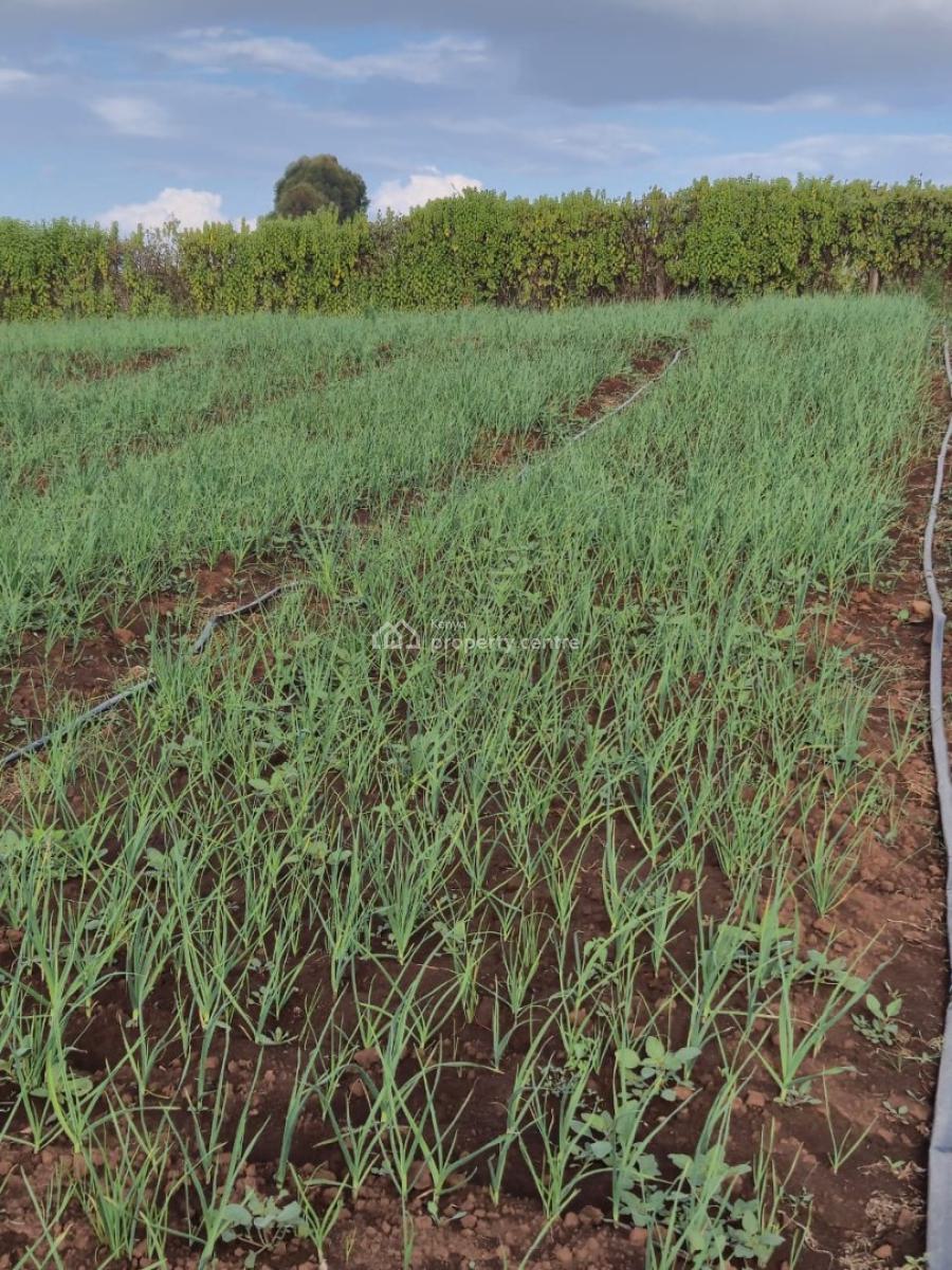 5 Acres Farm, Maritati, Timau, Meru, Land for Sale