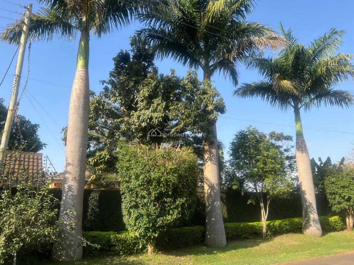 Elegant 4 Bedrooms with Well Manicured Garden, Runda, Westlands, Nairobi, Detached Duplex for Rent
