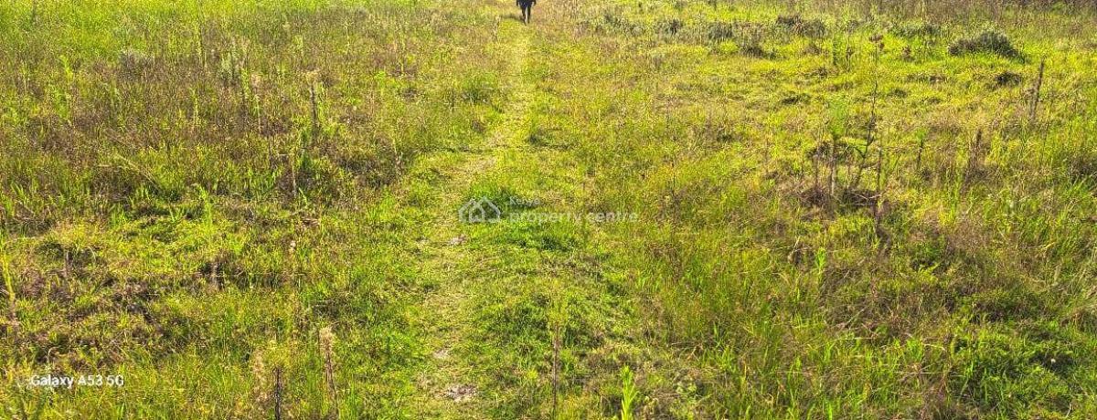 Prime 100 Acres of Virgin Land, Off Naivasha-nakuru Road, Naivasha East, Nakuru, Mixed-use Land for Sale