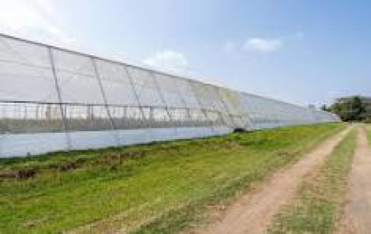 Prime 100 Acres of Virgin Land, Off Naivasha-nakuru Road, Naivasha East, Nakuru, Mixed-use Land for Sale