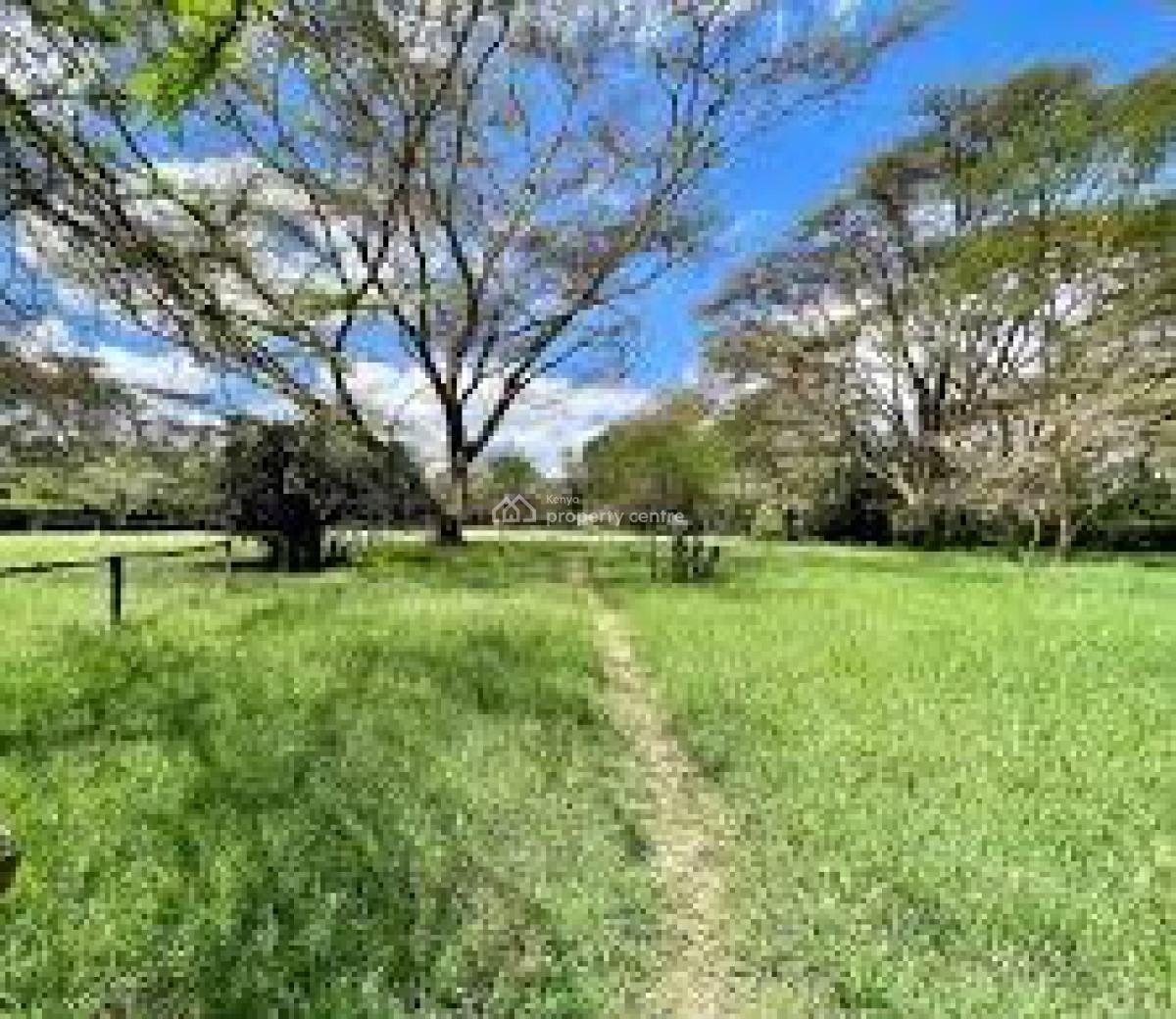 Prime 100 Acres of Virgin Land, Off Naivasha-nakuru Road, Naivasha East, Nakuru, Mixed-use Land for Sale