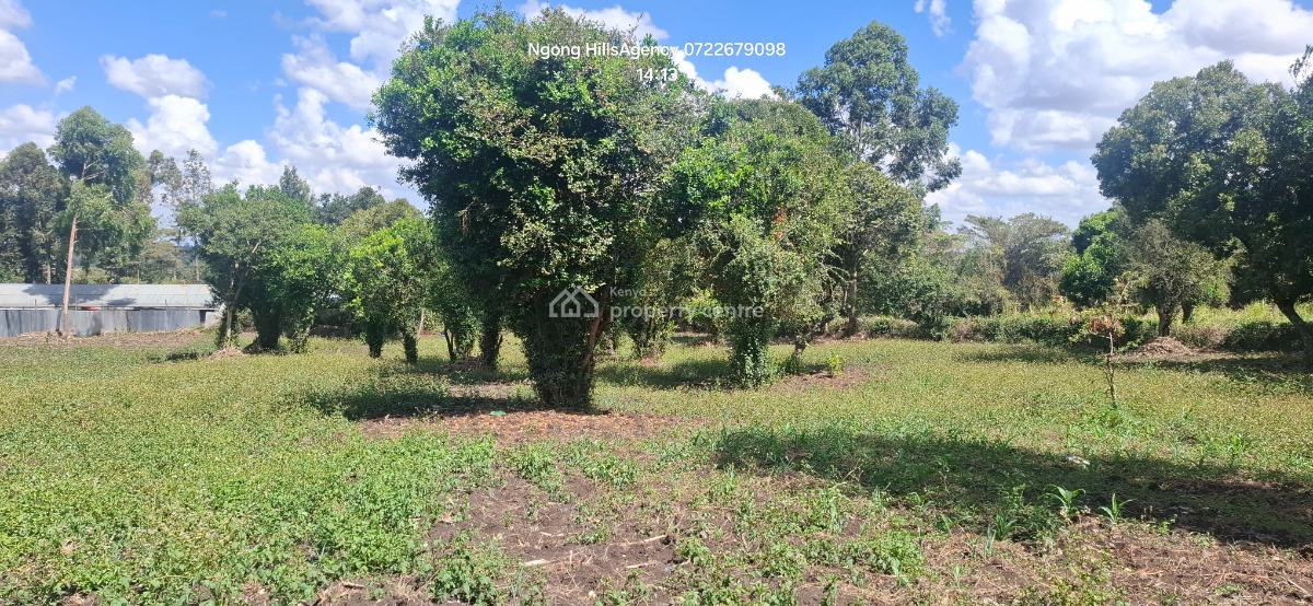 Your Ultimate Investment Awaits: a Prime One-acre Land in Prestigious, Ngong, Ngong, Kajiado, Mixed-use Land for Sale