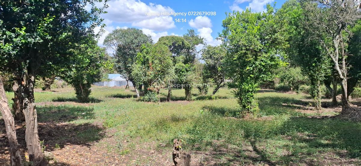 Your Ultimate Investment Awaits: a Prime One-acre Land in Prestigious, Ngong, Ngong, Kajiado, Mixed-use Land for Sale