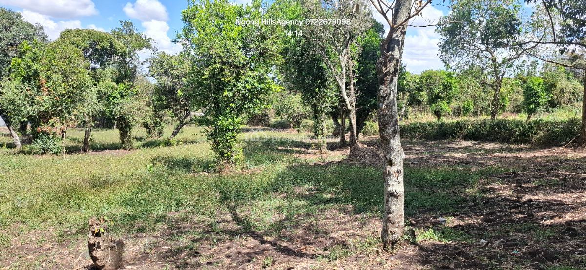 Your Ultimate Investment Awaits: a Prime One-acre Land in Prestigious, Ngong, Ngong, Kajiado, Mixed-use Land for Sale