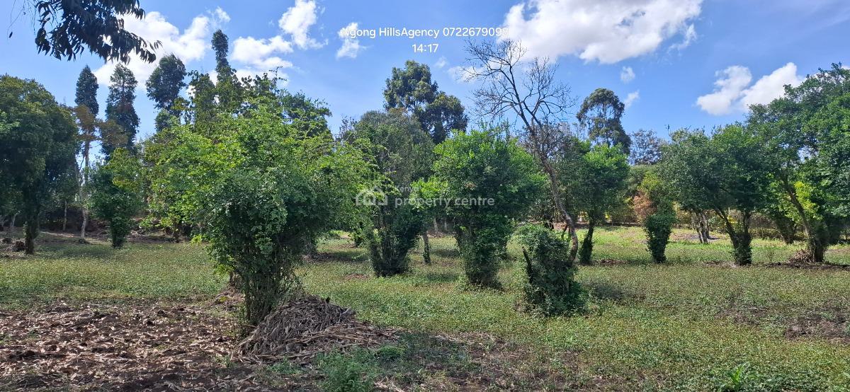 Your Ultimate Investment Awaits: a Prime One-acre Land in Prestigious, Ngong, Ngong, Kajiado, Mixed-use Land for Sale