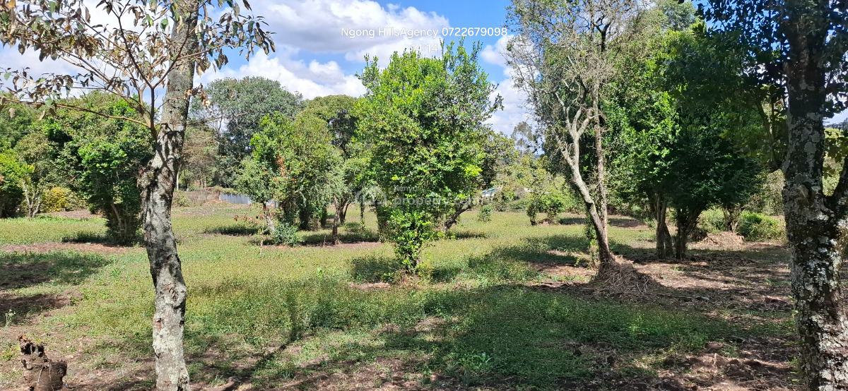 Your Ultimate Investment Awaits: a Prime One-acre Land in Prestigious, Ngong, Ngong, Kajiado, Mixed-use Land for Sale