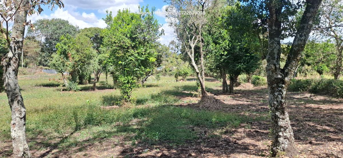 Your Ultimate Investment Awaits: a Prime One-acre Land in Prestigious, Ngong, Ngong, Kajiado, Mixed-use Land for Sale