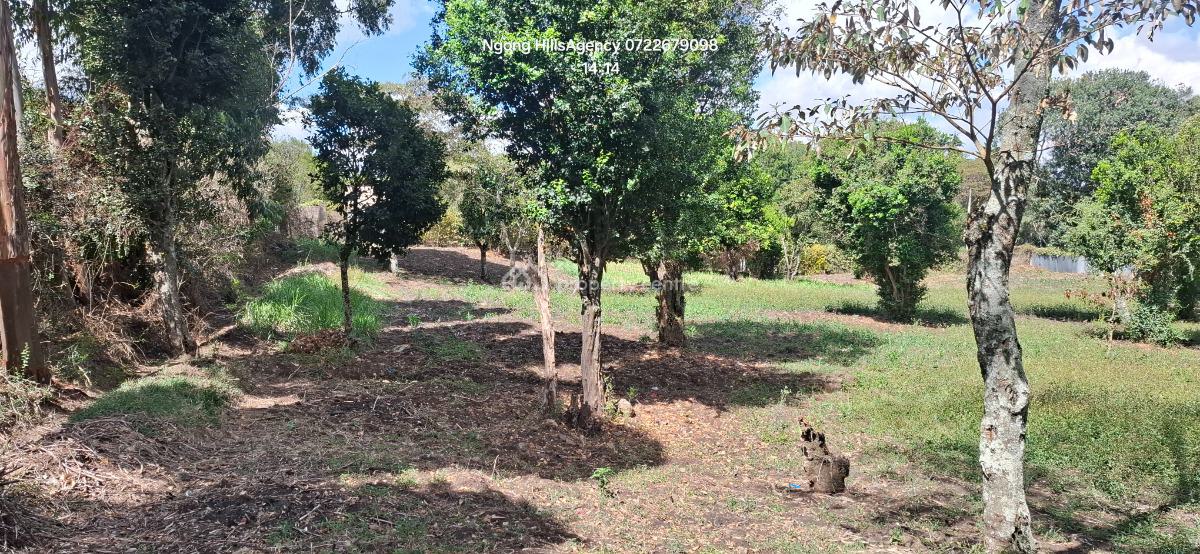 Your Ultimate Investment Awaits: a Prime One-acre Land in Prestigious, Ngong, Ngong, Kajiado, Mixed-use Land for Sale