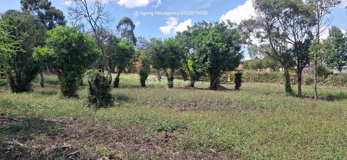 Your Ultimate Investment Awaits: a Prime One-acre Land in Prestigious, Ngong, Ngong, Kajiado, Mixed-use Land for Sale