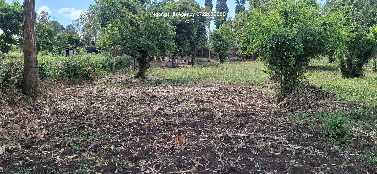 Your Ultimate Investment Awaits: a Prime One-acre Land in Prestigious, Ngong, Ngong, Kajiado, Mixed-use Land for Sale