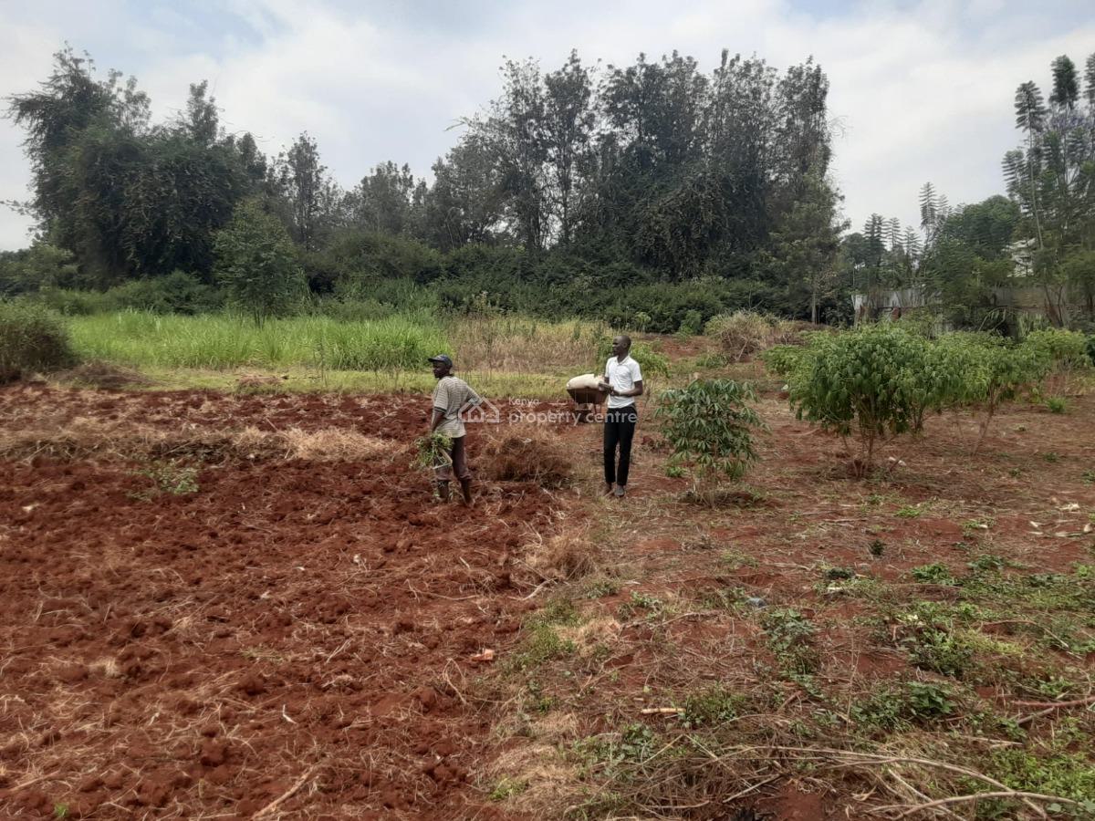 Half Acre Land, Njathaini Rd, Kiambu Rd., Runda, Westlands, Nairobi, Residential Land for Sale