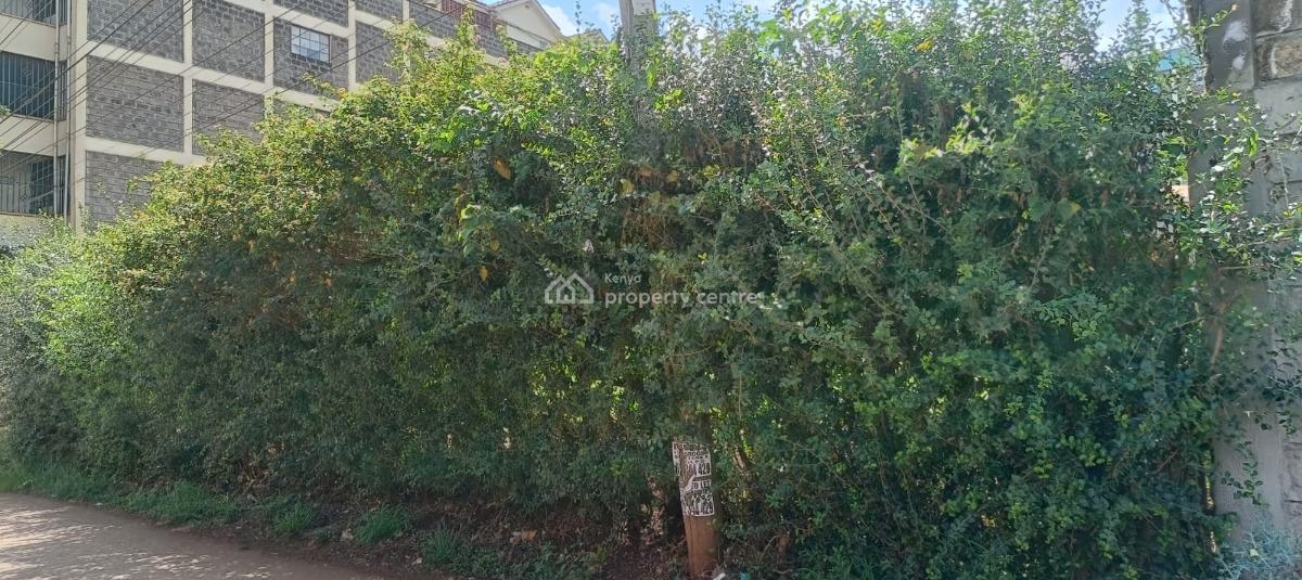 Commanding 1/4 Acre Plot in Ruaka, Off Limuru Road, Ruaka, Ruaka, Kiambu, Commercial Land for Sale