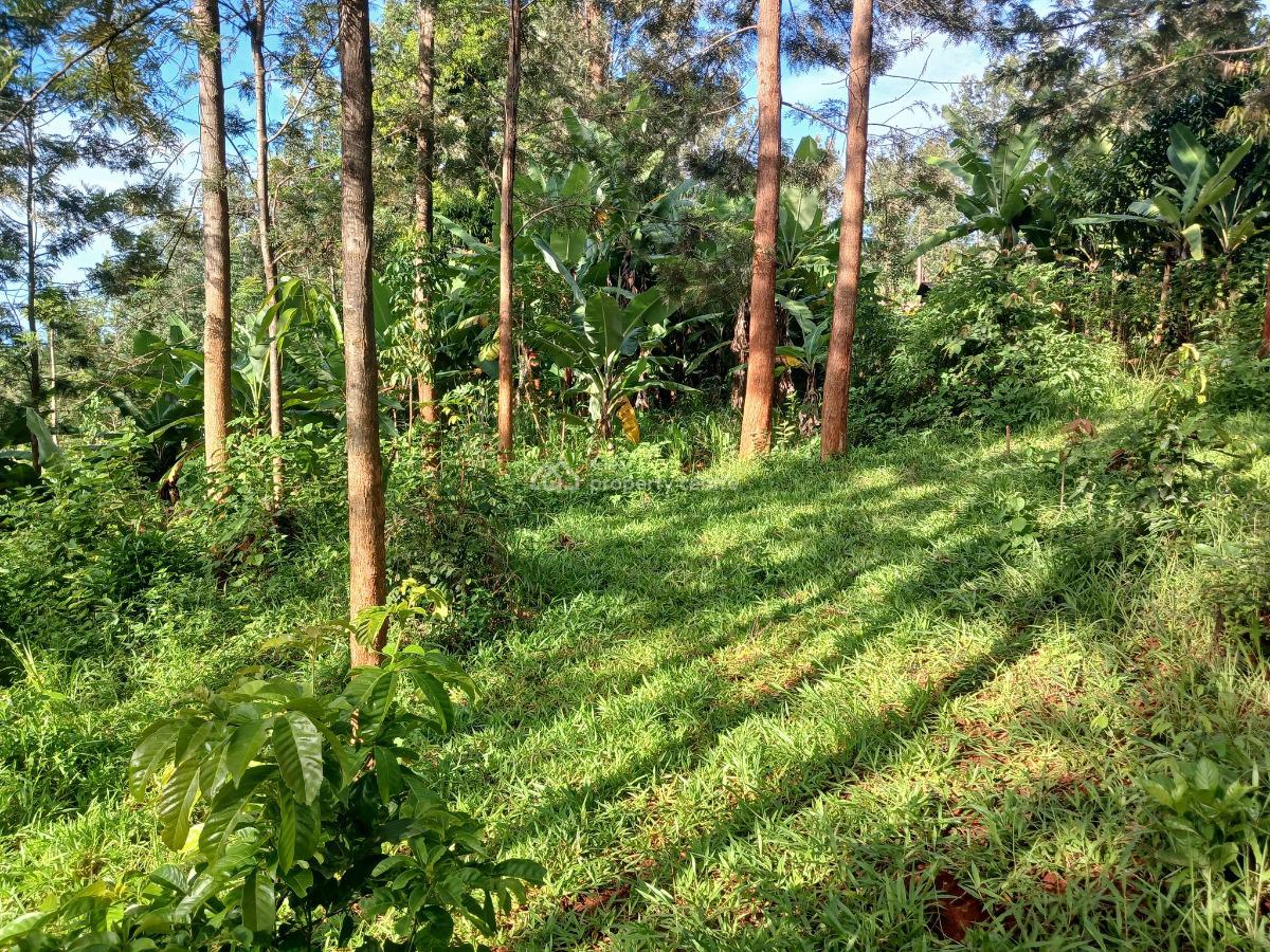 Kiharu, Muranga, Kiharu, Murang’a, Kahumbu, Muranga, Commercial Land for Sale