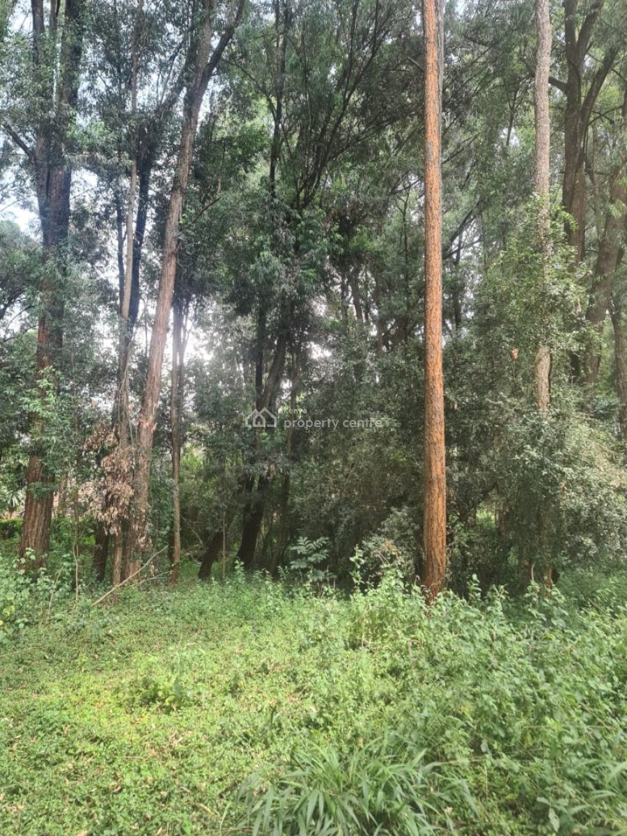 1 Acre Along Bogani Road Fertile Red Soil,mature Indigenous Trees Secu, Karen Bogani, Karen, Nairobi, Mixed-use Land for Sale