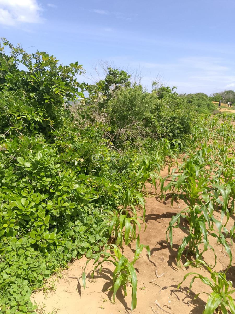 Affordable 7 Acres Beach Front, Chumani Beach, Kilifi, Sokoni, Kilifi, Mixed-use Land for Sale