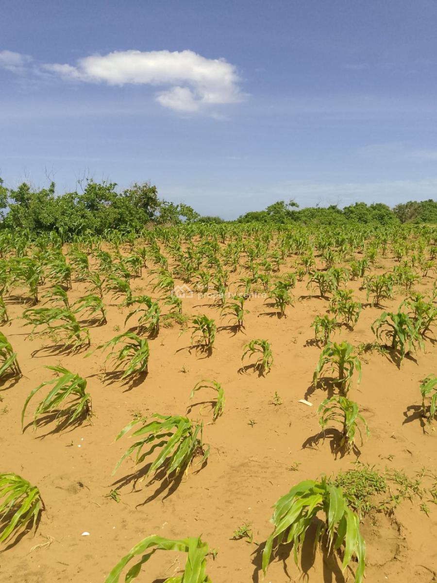 Affordable 7 Acres Beach Front, Chumani Beach, Kilifi, Sokoni, Kilifi, Mixed-use Land for Sale