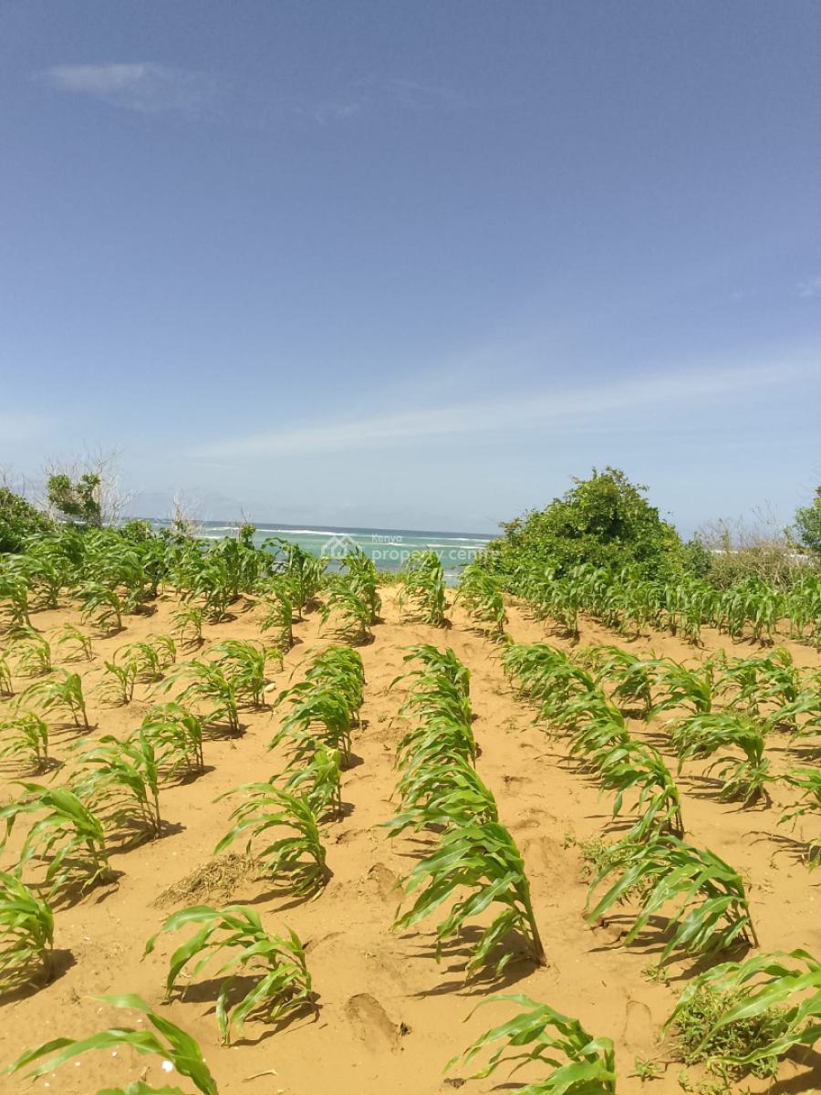 Affordable 7 Acres Beach Front, Chumani Beach, Kilifi, Sokoni, Kilifi, Mixed-use Land for Sale