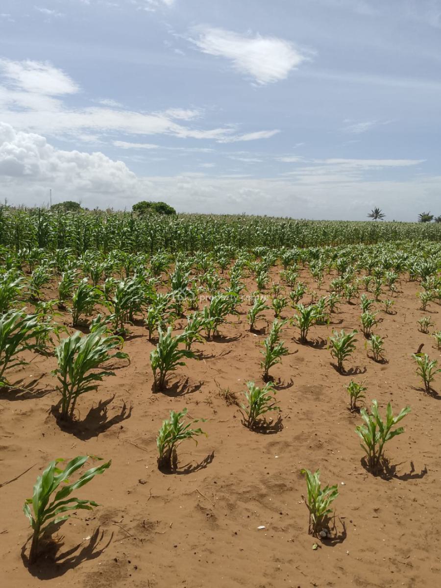 Affordable 7 Acres Beach Front, Chumani Beach, Kilifi, Sokoni, Kilifi, Mixed-use Land for Sale