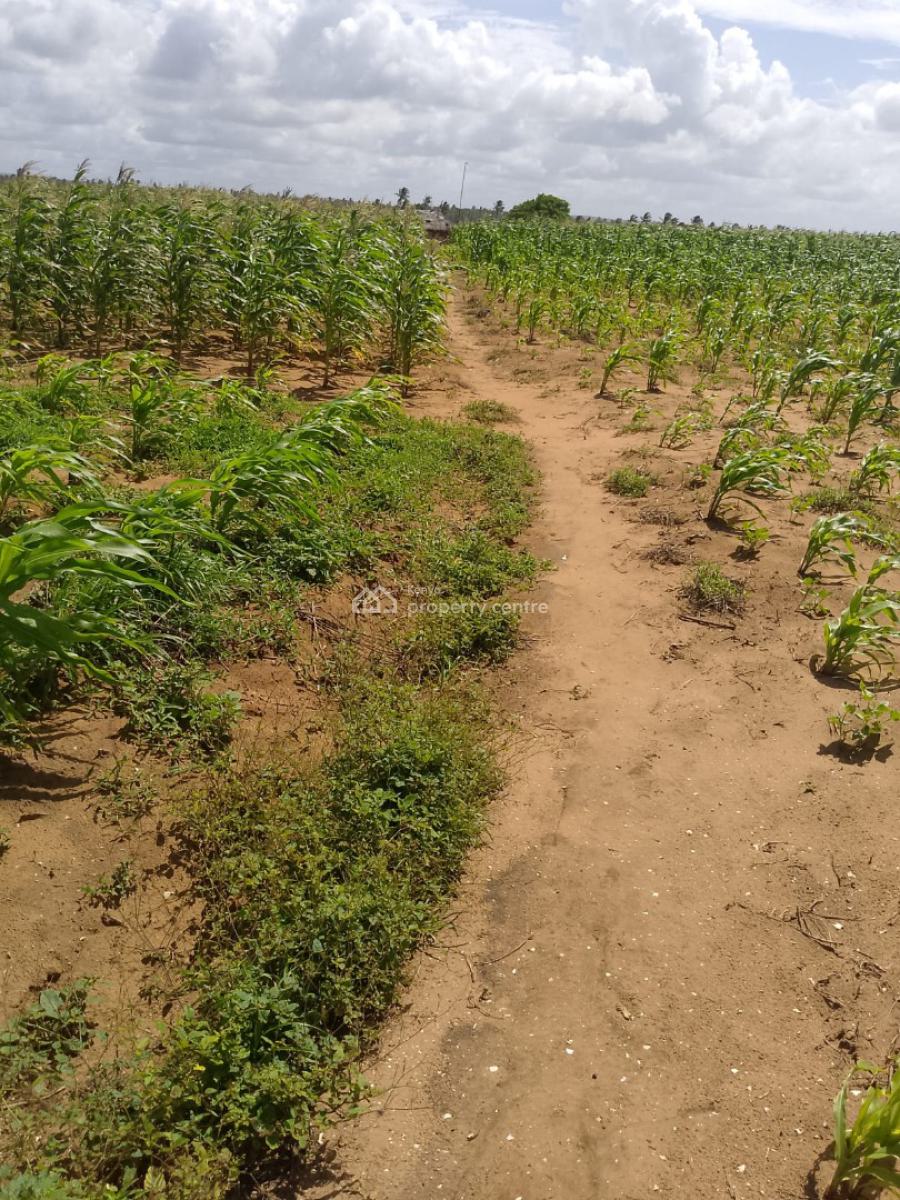 Affordable 7 Acres Beach Front, Chumani Beach, Kilifi, Sokoni, Kilifi, Mixed-use Land for Sale