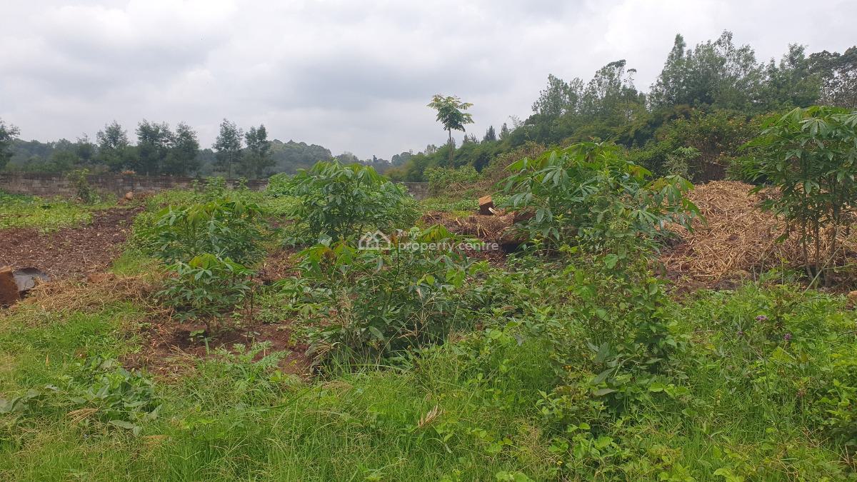Prime ½-acre Plot with Ready Title Deed, Loresho Ridge, Loresho, Westlands, Nairobi, Land for Sale