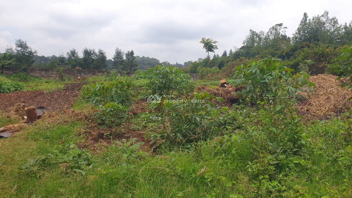 Prime ½-acre Plot with Ready Title Deed, Loresho Ridge, Loresho, Westlands, Nairobi, Land for Sale