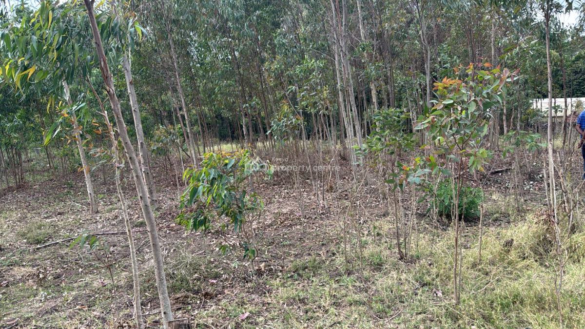 4 Acres, Karen Dagoreti Road, Karen, Nairobi, Residential Land for Sale